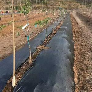 1米宽pp防草布